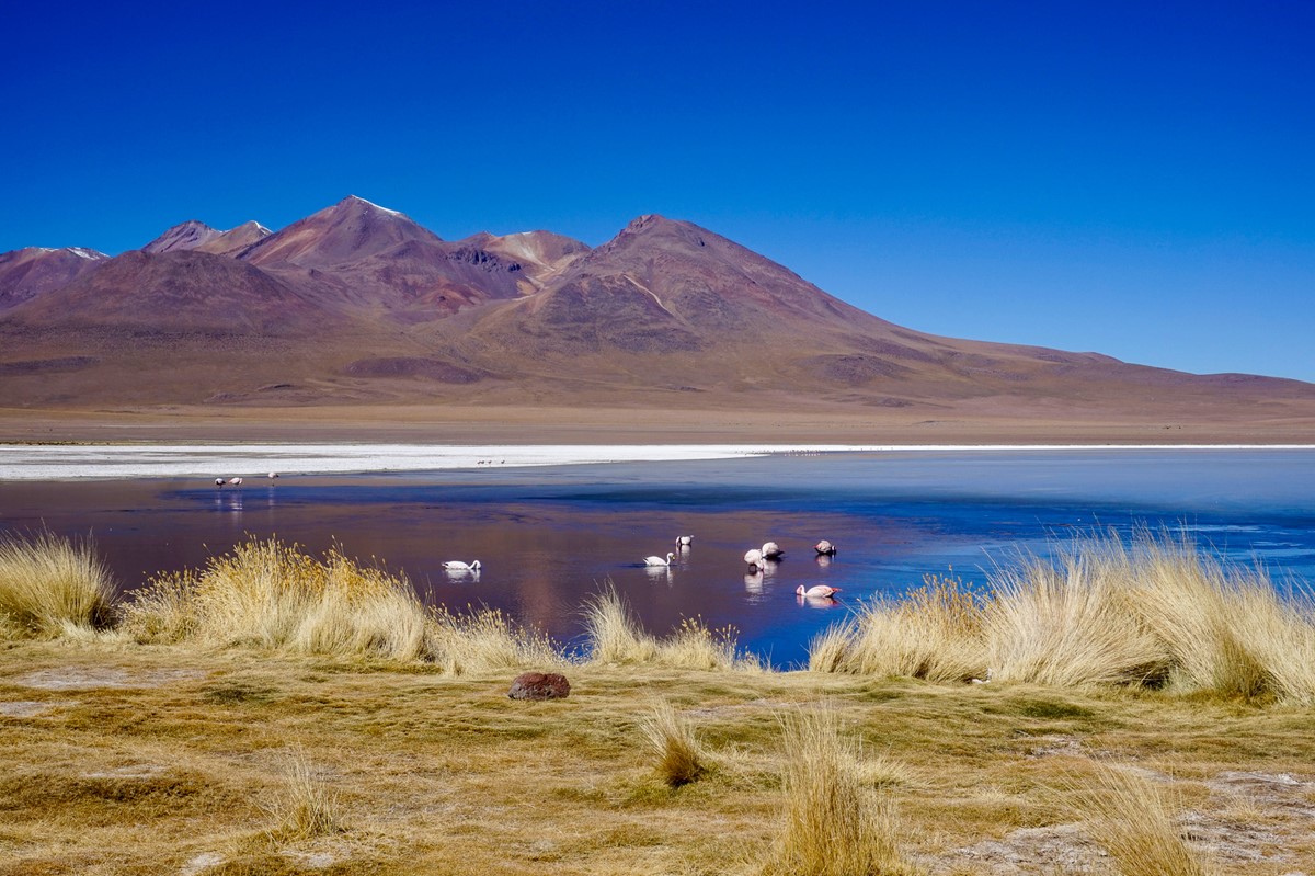 Top Tips to Know Before Traveling to Bolivia