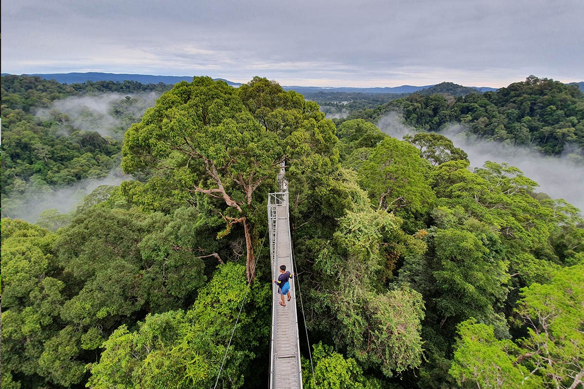 What You Need to Know Before Traveling to Brunei