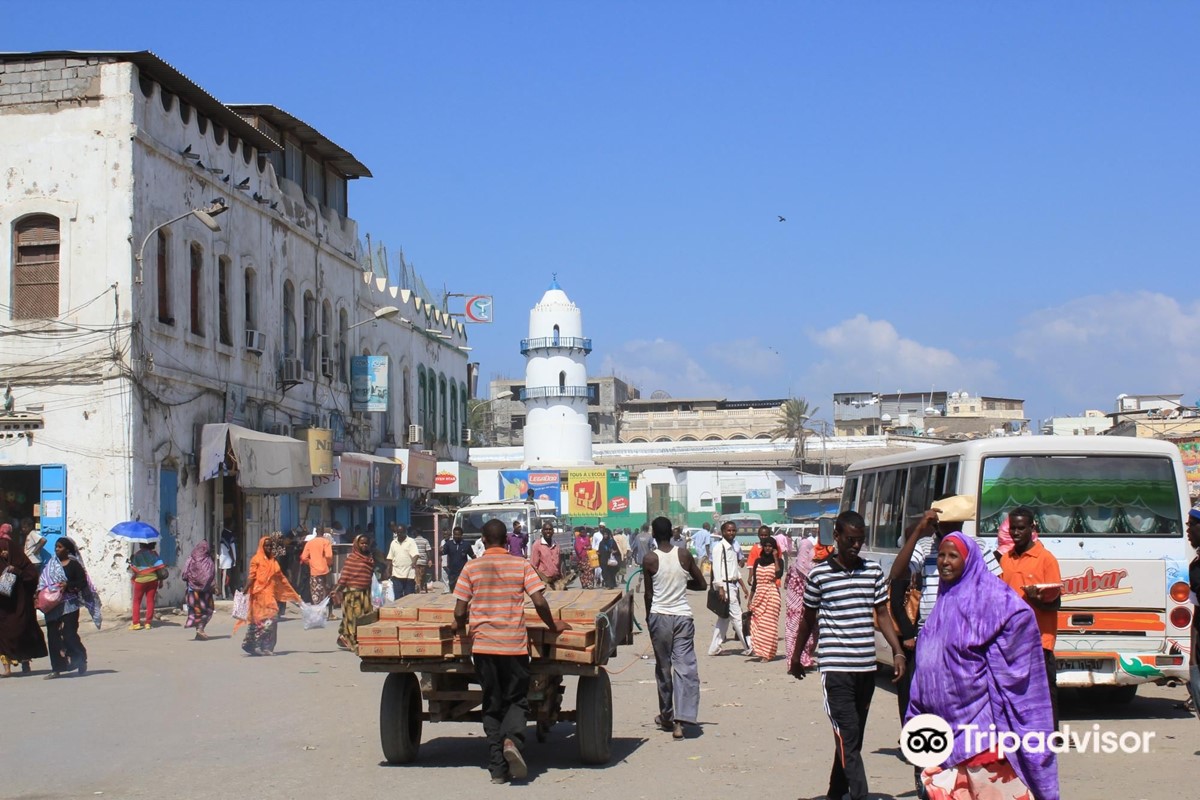 Essential Tips for Traveling to Djibouti: What You Must Know