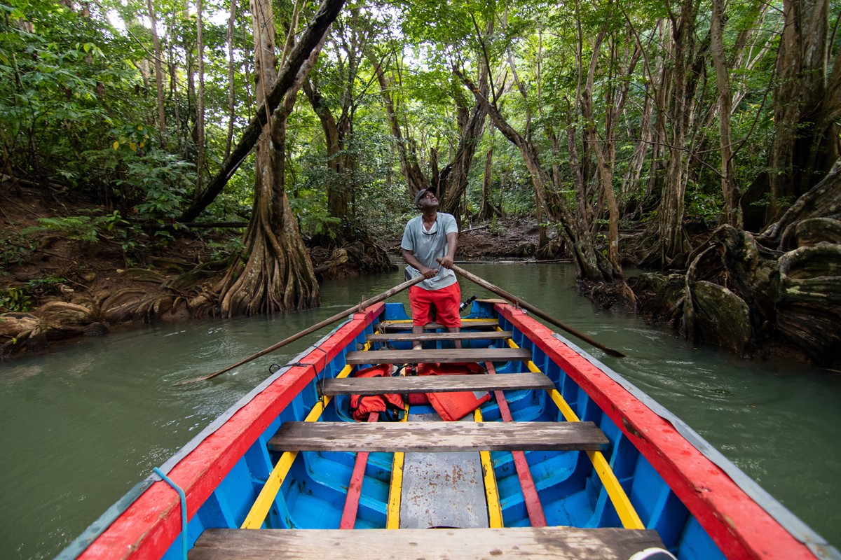 What You Need to Know Before Traveling to Dominica