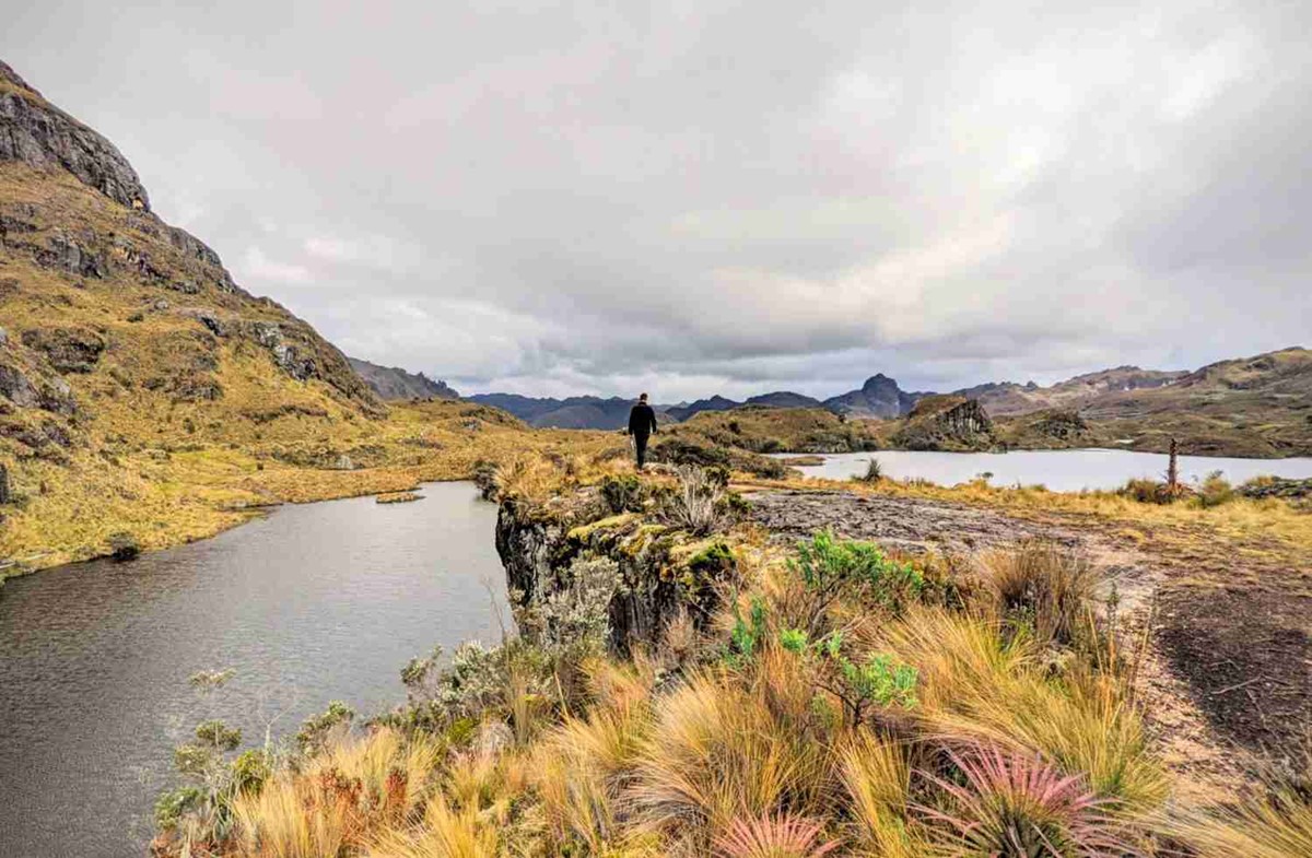 Top Tips to Know Before Traveling to Ecuador