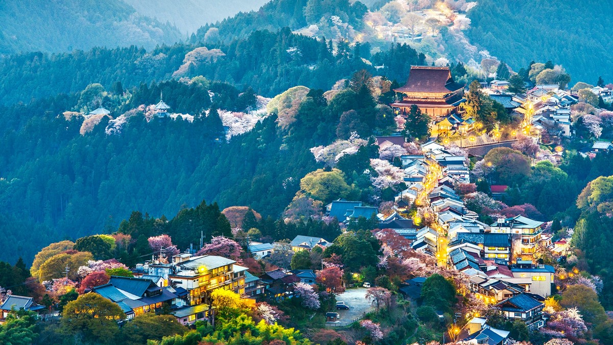Things You Need to Know Before Traveling to Japan