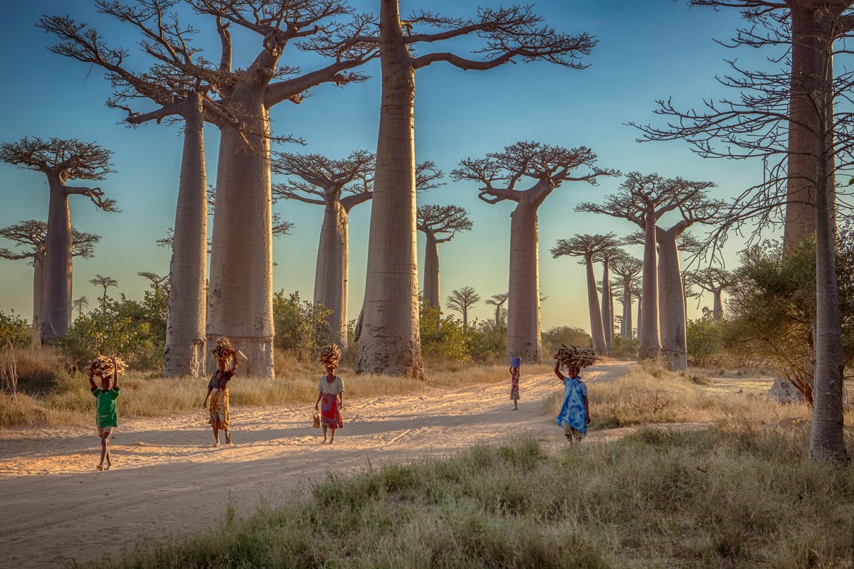 Before You Explore: Madagascar Travel Tips and Information