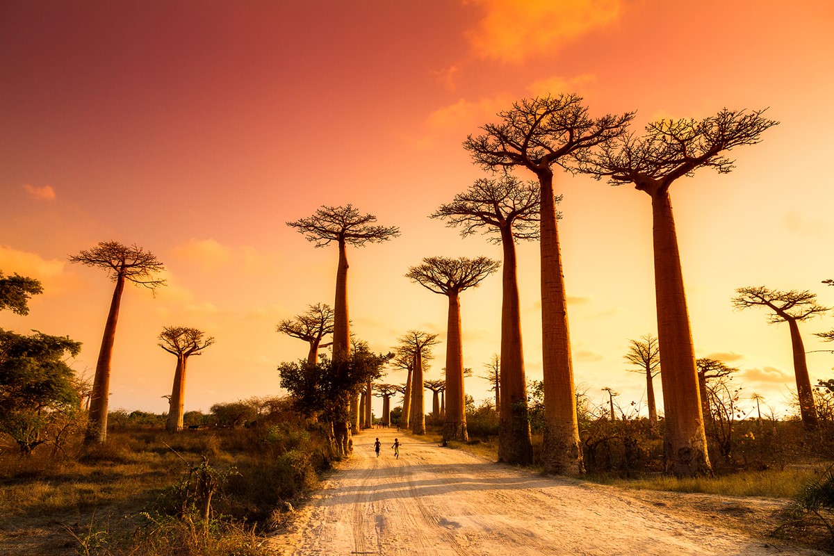 Before You Explore: Madagascar Travel Tips and Information
