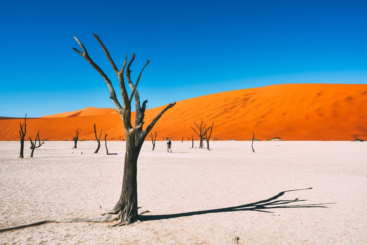 Top Tips to Know Before Traveling to Namibia