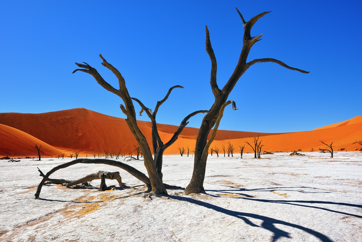 Top Tips to Know Before Traveling to Namibia