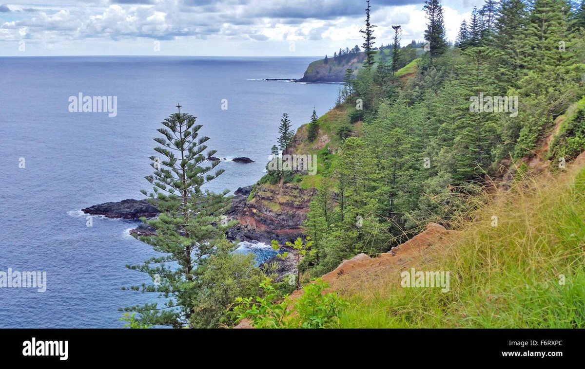 Navigating Norfolk island: Things You Need to Know before Traveling