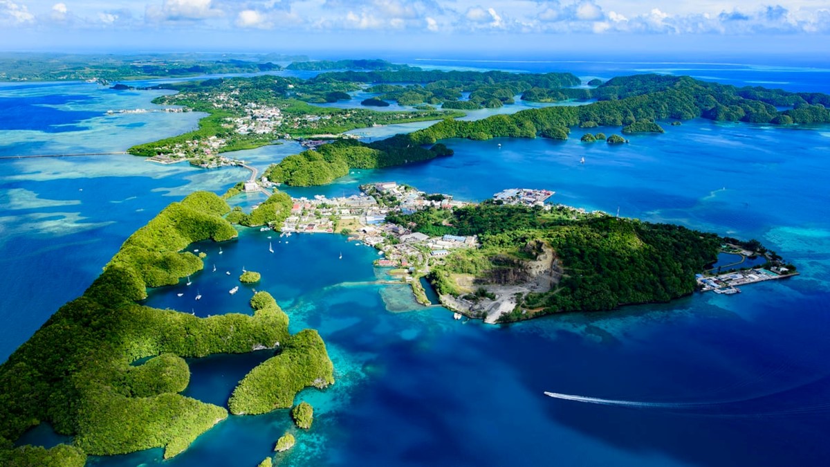 Essential Tips for Your Trip to Palau