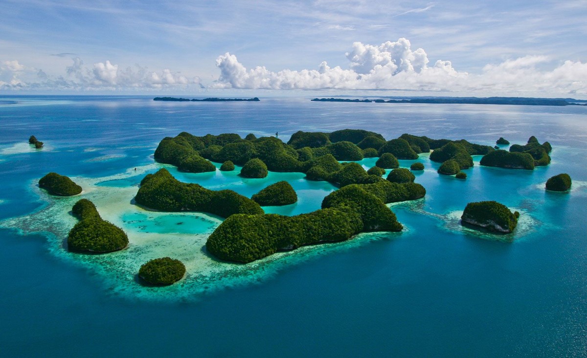 Essential Tips for Your Trip to Palau