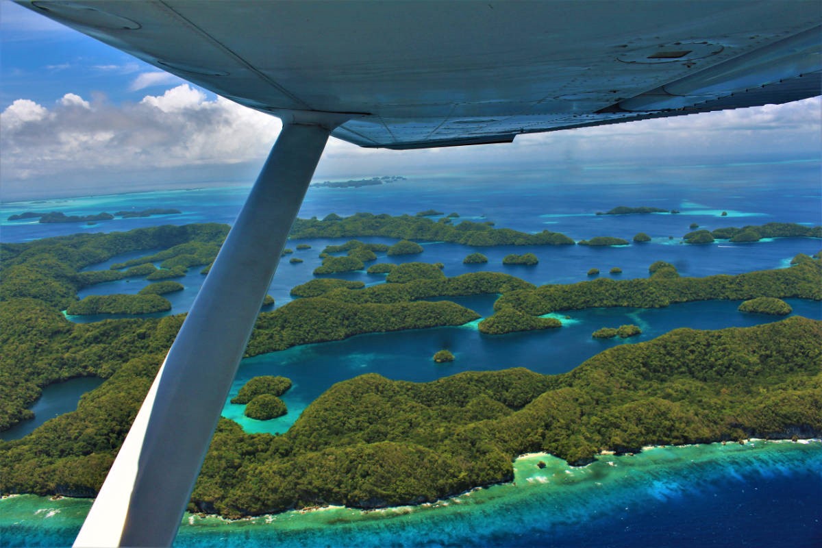 Essential Tips for Your Trip to Palau