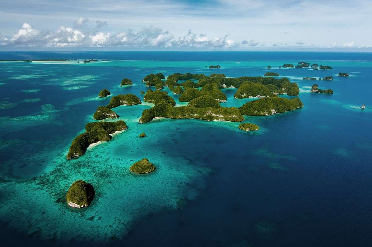 Essential Tips for Your Trip to Palau