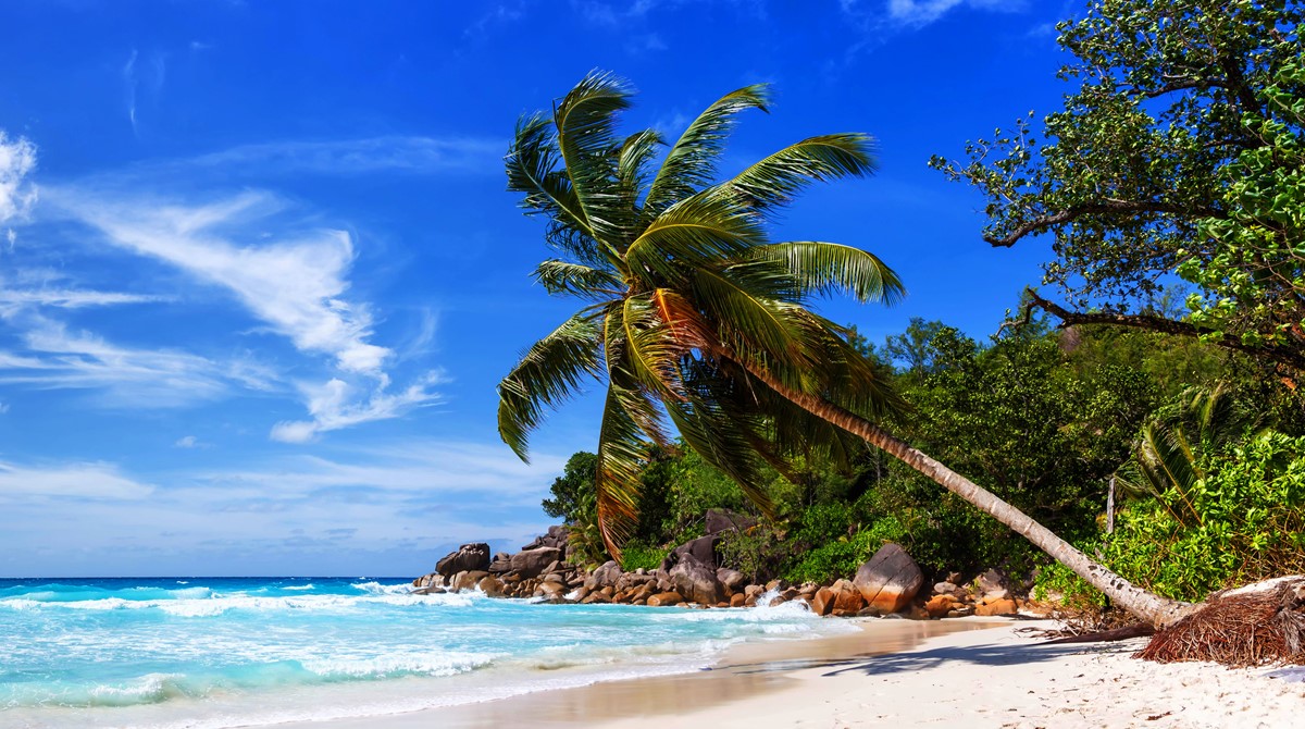 Essential Tips for Your Trip to Seychelles