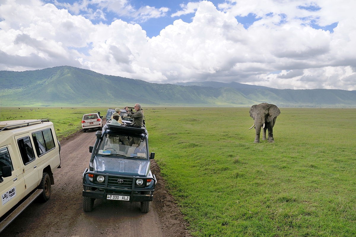 Before You Explore: Tanzania Travel Tips and Information
