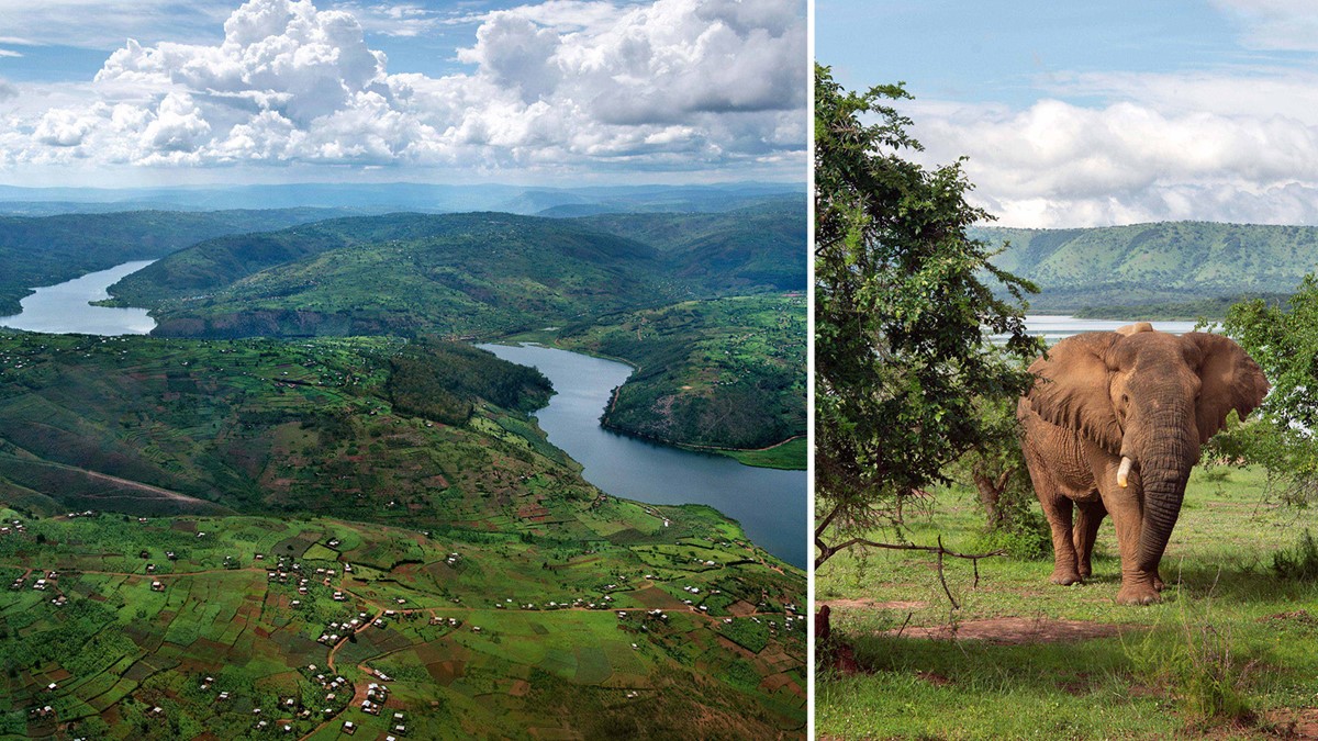 What You Should Know Before Your Trip to Uganda